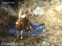 Animal Sex Movie - White sweetheart makes out with her dog outdoors
